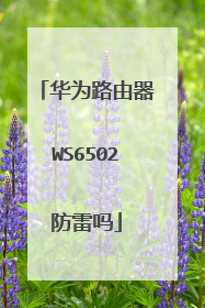 华为路由器WS6502防雷吗