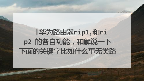 华为路由器rip1,和rip2 的各自功能,和解说一下下面的关键字比如什么事无类路由什么事有类 最详细的给分