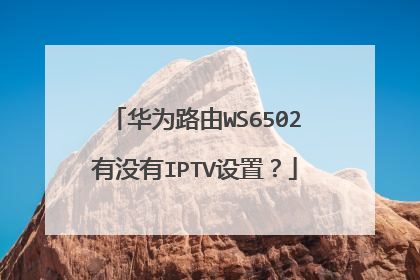 华为路由WS6502有没有IPTV设置？