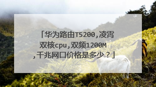 华为路由T5200,凌霄双核cpu,双频1200M,千兆网口价格是多少?
