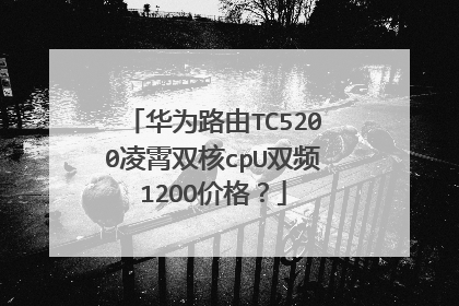 华为路由TC5200凌霄双核cpU双频12OO价格？