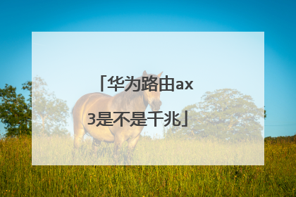 华为路由ax3是不是千兆