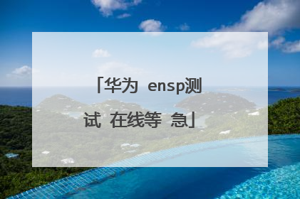 华为 ensp测试 在线等 急