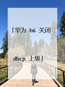 华为 h6 关闭dhcp 上级
