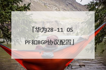 华为28-11 OSPF和BGP协议配置