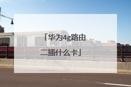 华为4g路由二插什么卡