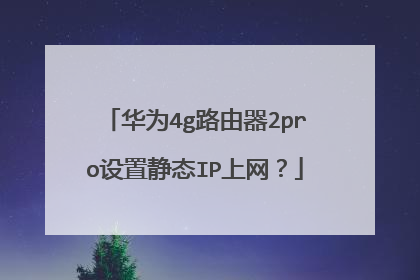 华为4g路由器2pro设置静态IP上网？