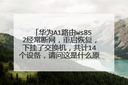 华为A1路由ws852经常断网,重启恢复,下挂了交换机,共计14个设备,请问这是什么原因,解决办法