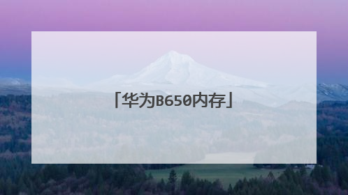 华为B650内存