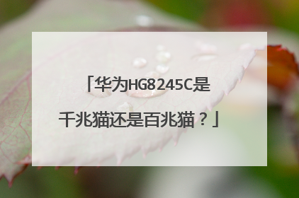 华为HG8245C是千兆猫还是百兆猫?