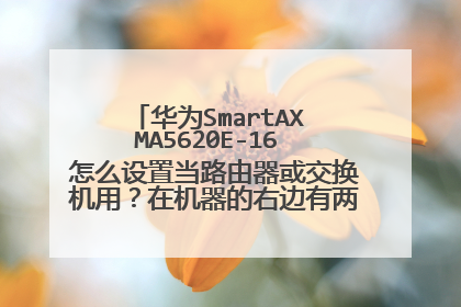 华为SmartAX MA5620E-16 怎么设置当路由器或交换机用?在机器的右边有两个以太口写着“