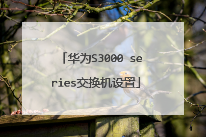 华为S3000 series交换机设置