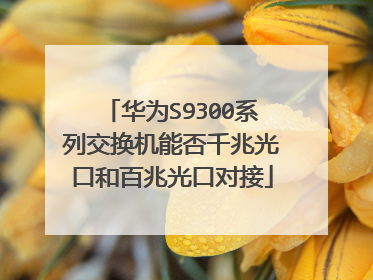 华为S9300系列交换机能否千兆光口和百兆光口对接