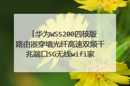 华为WS5200四核版路由器穿墙光纤高速双频千兆端口5G无线wifi家用多少钱一个月？
