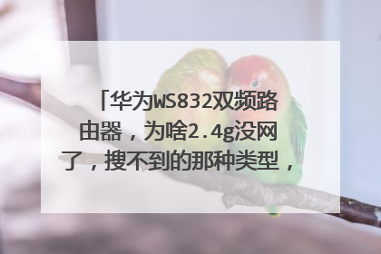 华为WS832双频路由器,为啥2.4g没网了,搜不到的那种类型,5g网络正常怎么回事