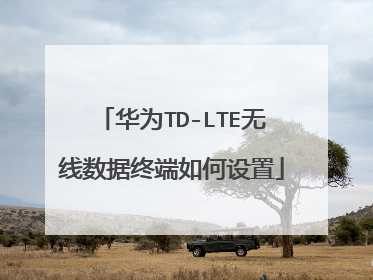 华为TD-LTE无线数据终端如何设置