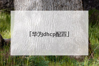 华为dhcp配置