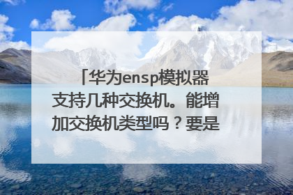 华为ensp模拟器支持几种交换机。能增加交换机类型吗？要是能加的话请教一下方法。最好详细点。