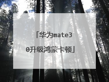 华为mate30升级鸿蒙卡顿