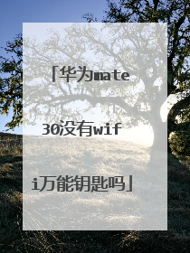 华为mate30没有wifi万能钥匙吗
