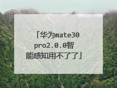 华为mate30pro2.0.0智能感知用不了了