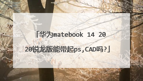 华为matebook 14 2020锐龙版能带起ps,CAD吗?