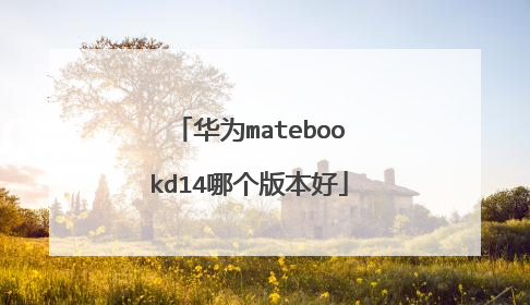 华为matebookd14哪个版本好