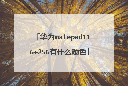 华为matepad116+256有什么颜色