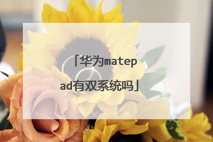 华为matepad有双系统吗
