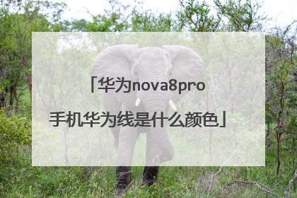 华为nova8pro手机华为线是什么颜色