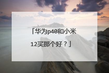 华为p40和小米12买那个好？