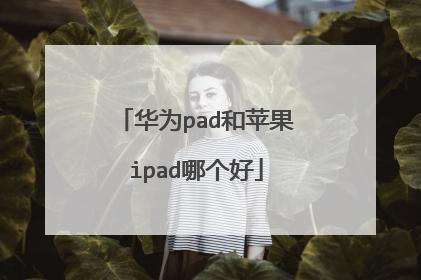 华为pad和苹果ipad哪个好