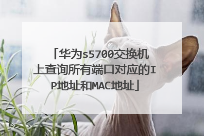 华为s5700交换机上查询所有端口对应的IP地址和MAC地址