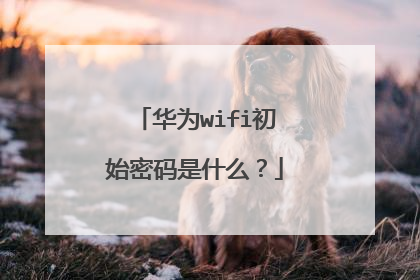 华为wifi初始密码是什么?