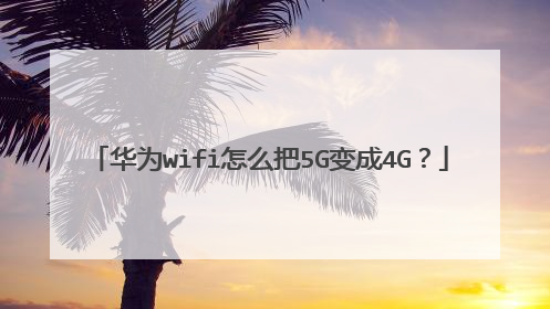华为wifi怎么把5G变成4G？