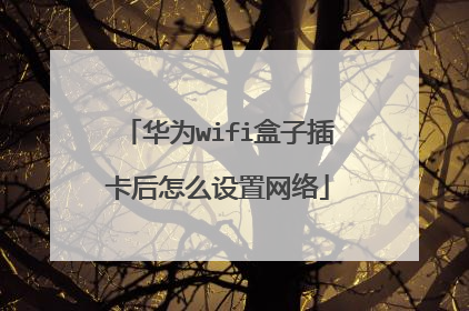 华为wifi盒子插卡后怎么设置网络