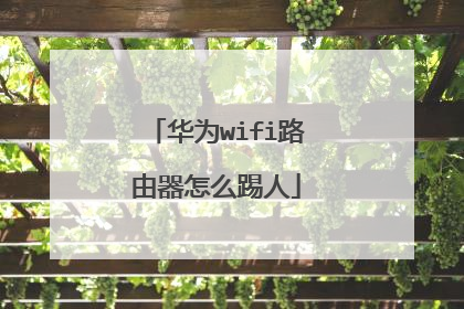 华为wifi路由器怎么踢人