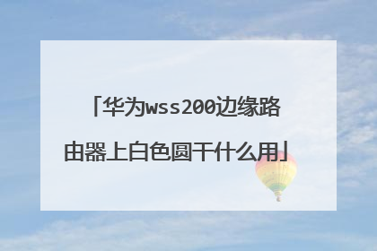 华为wss200边缘路由器上白色圆干什么用