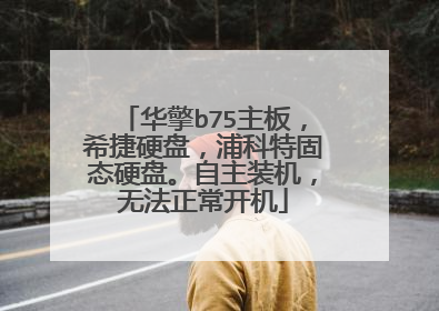 华擎b75主板,希捷硬盘,浦科特固态硬盘。自主装机,无法正常开机