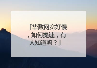 华数网宽好慢,如何提速,有人知道吗?