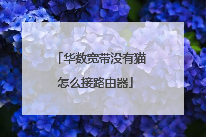 华数宽带没有猫怎么接路由器