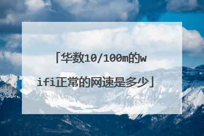 华数10/100m的wifi正常的网速是多少