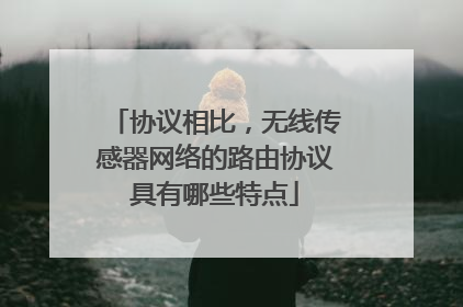 协议相比,无线传感器网络的路由协议具有哪些特点