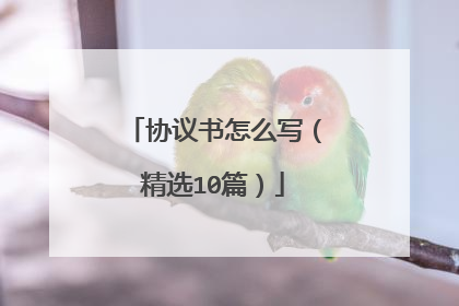 协议书怎么写（精选10篇）