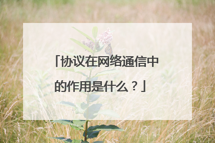 协议在网络通信中的作用是什么?