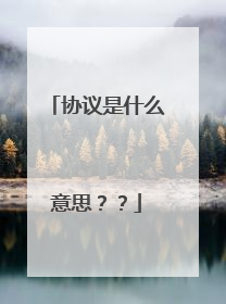 协议是什么意思？？