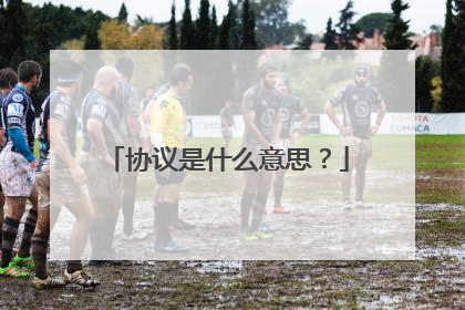 协议是什么意思？