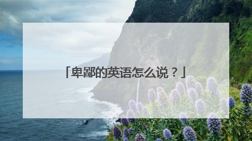 卑鄙的英语怎么说?