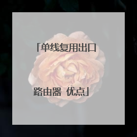 单线复用出口路由器 优点