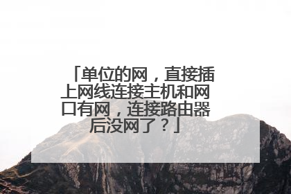 单位的网，直接插上网线连接主机和网口有网，连接路由器后没网了？